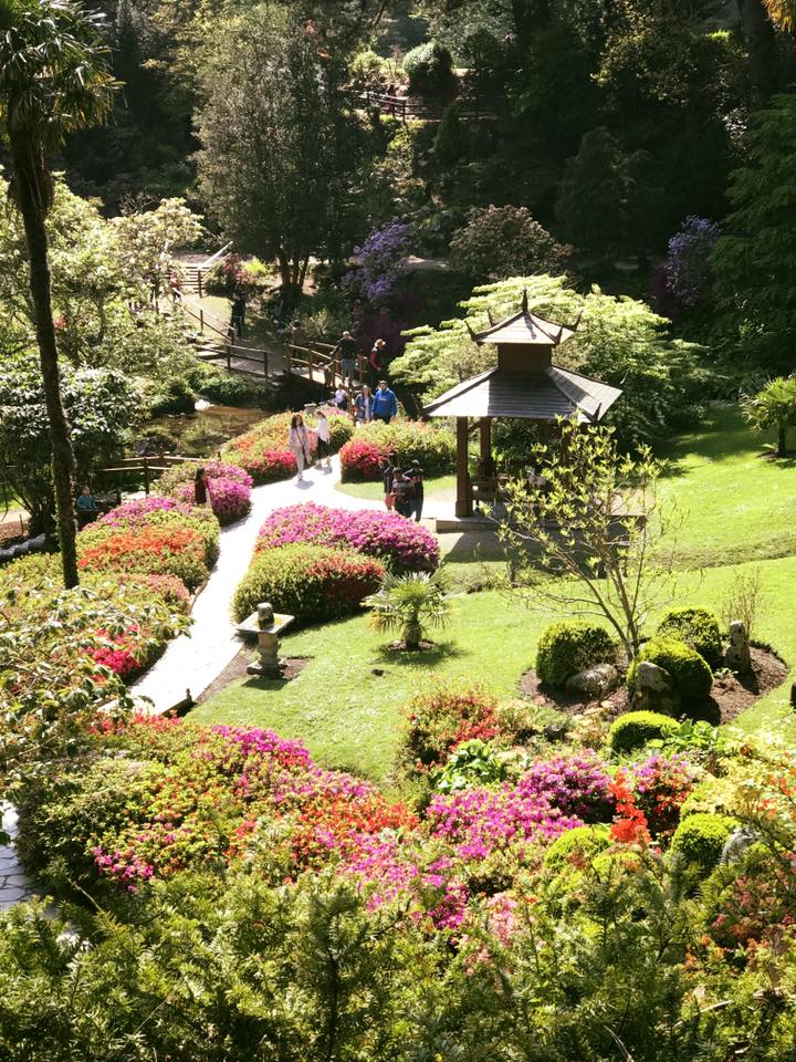 Japanese Gardens at Powerscourt Gardens